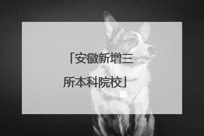 安徽新增三所本科院校