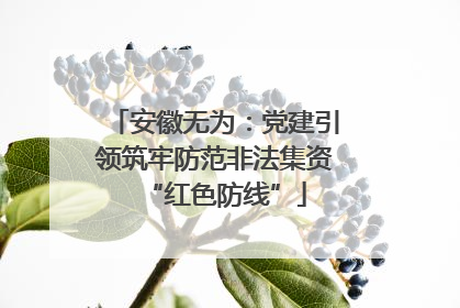 安徽无为：党建引领筑牢防范非法集资“红色防线”