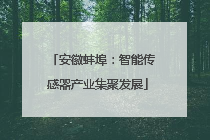 安徽蚌埠：智能传感器产业集聚发展