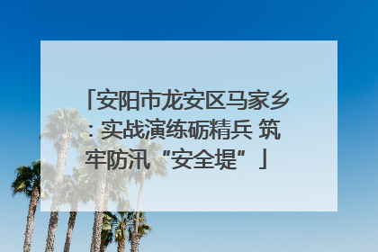 安阳市龙安区马家乡：实战演练砺精兵 筑牢防汛“安全堤”