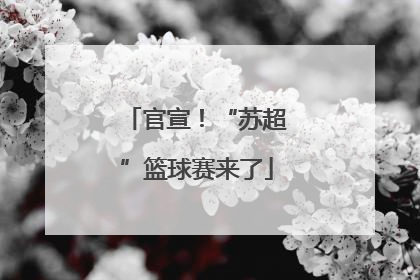官宣！“苏超”篮球赛来了