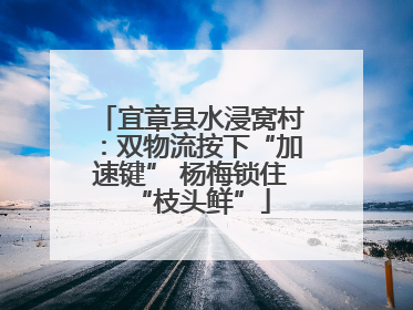 宜章县水浸窝村：双物流按下“加速键” 杨梅锁住“枝头鲜”