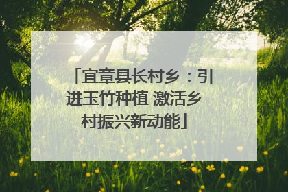 宜章县长村乡：引进玉竹种植 激活乡村振兴新动能