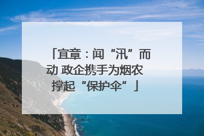 宜章：闻“汛”而动 政企携手为烟农撑起“保护伞”