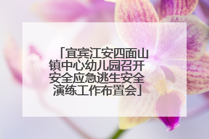 宜宾江安四面山镇中心幼儿园召开安全应急逃生安全演练工作布置会