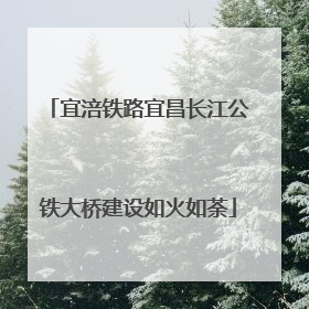 宜涪铁路宜昌长江公铁大桥建设如火如荼