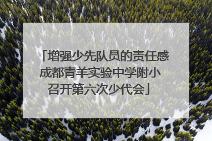 增强少先队员的责任感 成都青羊实验中学附小召开第六次少代会