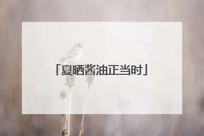 夏晒酱油正当时