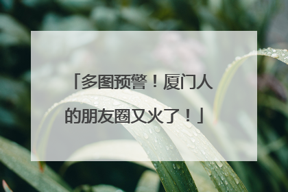 多图预警！厦门人的朋友圈又火了！