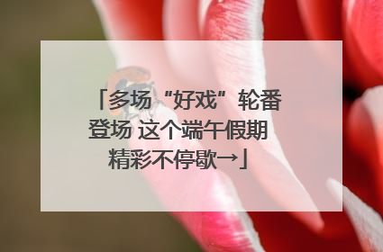 多场“好戏”轮番登场 这个端午假期精彩不停歇→