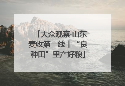 大众观察·山东麦收第一线丨“良种田”里产好粮