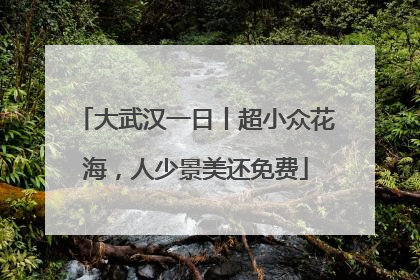 大武汉一日丨超小众花海，人少景美还免费