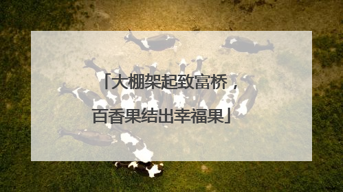 大棚架起致富桥，百香果结出幸福果