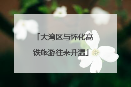 大湾区与怀化高铁旅游往来升温
