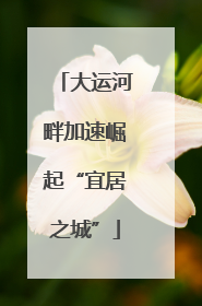 大运河畔加速崛起“宜居之城”