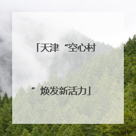 天津“空心村”焕发新活力