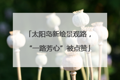 太阳岛新绘景观路，“一路芳心”被点赞