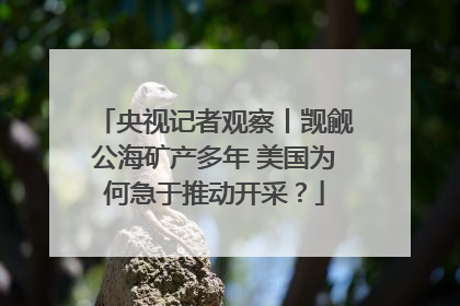 央视记者观察丨觊觎公海矿产多年 美国为何急于推动开采？