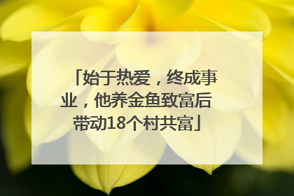 始于热爱，终成事业，他养金鱼致富后带动18个村共富