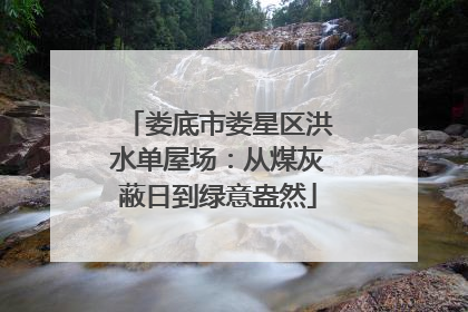 娄底市娄星区洪水单屋场：从煤灰蔽日到绿意盎然