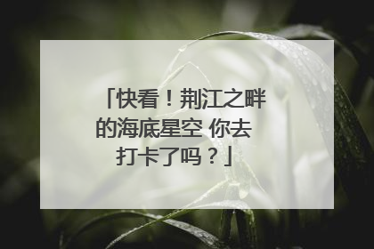 快看！荆江之畔的海底星空 你去打卡了吗？