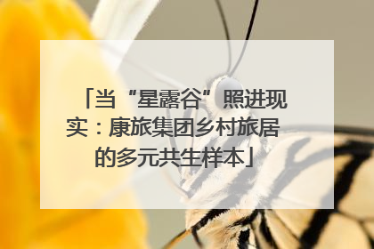当“星露谷”照进现实：康旅集团乡村旅居的多元共生样本