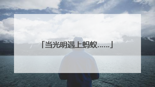 当光明遇上蚂蚁……