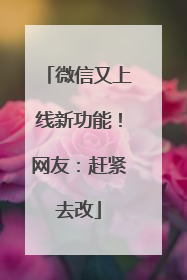微信又上线新功能！网友：赶紧去改