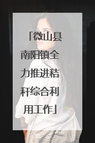 微山县南阳镇全力推进秸秆综合利用工作