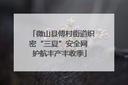 微山县傅村街道织密“三夏”安全网 护航丰产丰收季