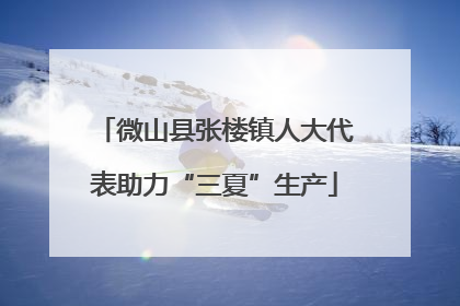 微山县张楼镇人大代表助力“三夏”生产