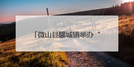 微山县驩城镇举办“浓情端午·圆梦微心愿”爱心帮扶活动