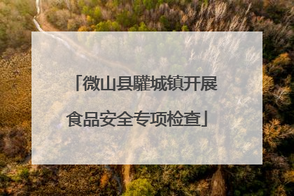 微山县驩城镇开展食品安全专项检查