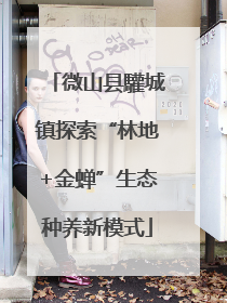 微山县驩城镇探索“林地+金蝉”生态种养新模式