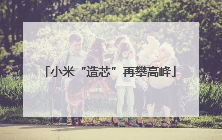 小米“造芯”再攀高峰