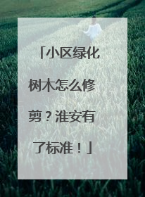 小区绿化树木怎么修剪？淮安有了标准！