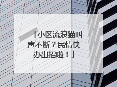 小区流浪猫叫声不断？民情快办出招啦！