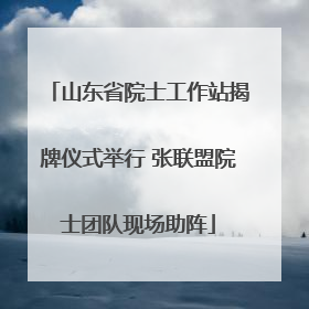 山东省院士工作站揭牌仪式举行 张联盟院士团队现场助阵