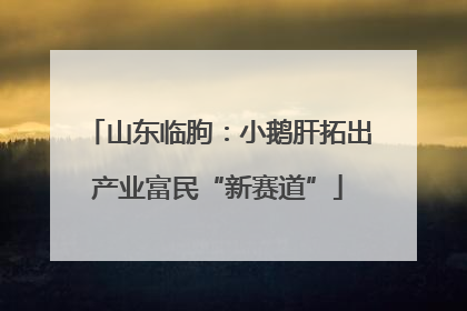 山东临朐：小鹅肝拓出产业富民“新赛道”