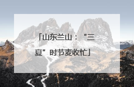 山东兰山：“三夏”时节麦收忙