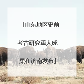 山东地区史前考古研究重大成果在济南发布