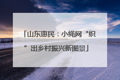 山东惠民：小绳网“织”出乡村振兴新图景