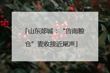 山东郯城：“鲁南粮仓”麦收接近尾声