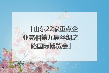 山东22家重点企业亮相第九届丝绸之路国际博览会