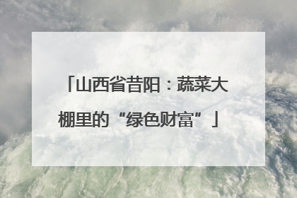 山西省昔阳：蔬菜大棚里的“绿色财富”