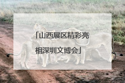 山西展区精彩亮相深圳文博会