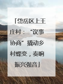 岱岳区上王庄村：“议事协商”撬动乡村蝶变，奏响振兴强音