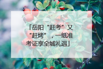 岳阳“赶考”又“赶烤”，一纸准考证享全城礼遇