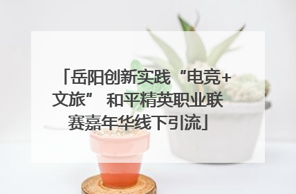 岳阳创新实践“电竞+文旅” 和平精英职业联赛嘉年华线下引流