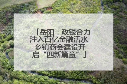 岳阳：政银合力注入百亿金融活水 乡镇商会建设开启“四新篇章”